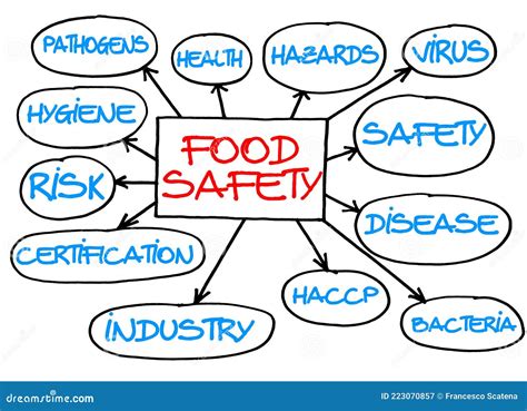 HACCP Hazard Analysis Of Critical Control Points Stock Illustration