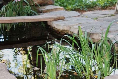 My pond is about 1400 gallons, the piping would need to go 4ft vertical and about 4ft horizontal from the edge of the pond. Does Your Garden Need a Pond
