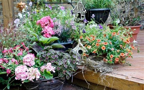 Potted Shade Flowers 20 Great Shade Loving Plants For Containers
