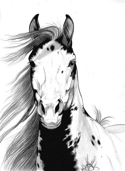 A Wild Mustang I Called Geronimo By Cheryl Poland Horse Drawings