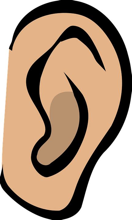Telinga Mendengarkan Mendengar Gambar Vektor Gratis Di Pixabay Pixabay