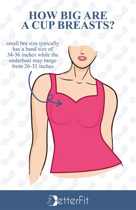 How Big Are A Aa And Aaa Cup Breasts Thebetterfit