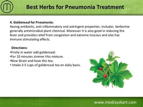 Best Herbal Remedies For Pneumonia