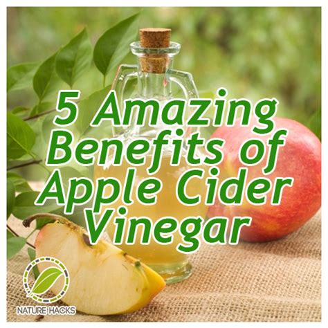 There are a host of vitamins in acv apple cider vinegar including vitamin b1, b2, b6, biotin, folic acid, niacin, pantothenic acid, and vitamin c. Why Everyone Needs Apple Cider Vinegar