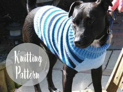 Make Your Dog A Warm Knitted Sweater This Month With This Easy Free