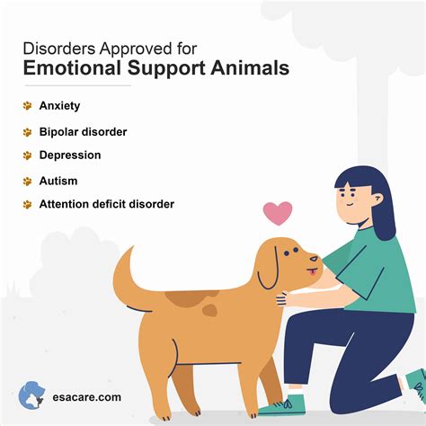 What Qualifies You For An Emotional Support Dog