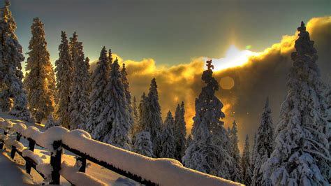 Landscape Winter Snow Sunset Trees Fence Wallpapers Hd Desktop