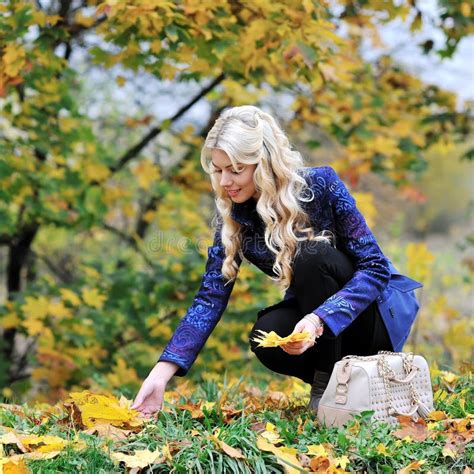 Beautiful Elegant Woman Collects Leaves In A Park In Autumn Stock Photo