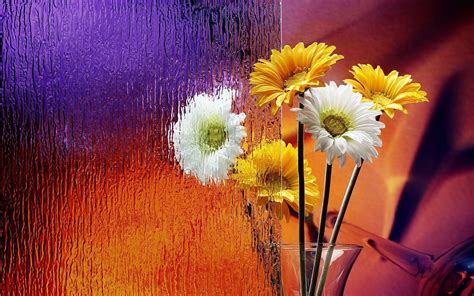 Beautiful Glass Wallpapers Top Free Beautiful Glass Backgrounds