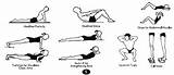 Images of Muscular Strength Exercises