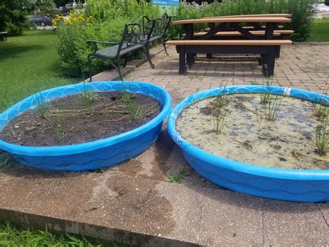 Gateway Greening’s Growing Gardeners Contest - Seed St. Louis