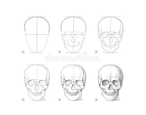 Page Shows How To Learn To Draw Sketch Of Human Skull Creation Step By