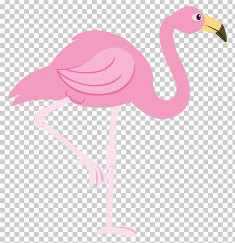 Flamingo Png Clipart Beak Bird Cartoon Flamingo Flamingo Free