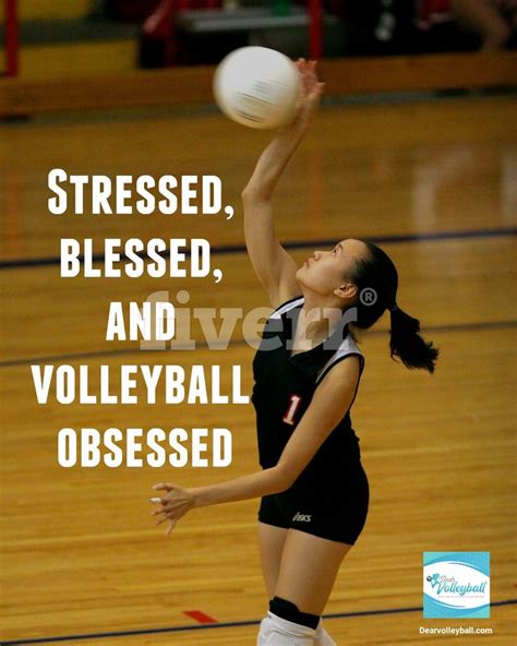 75 Volleyball Motivational Quotes And Images That Inspire Success