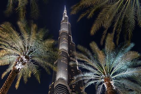 View Through The Palm Trees To The Top Of The Illuminated Burj Khalifa