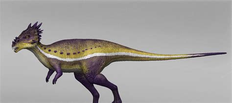 May 05, 2021 · updated, 9:20 am: Image - Dracorex dino dan.jpg | Dinopedia | FANDOM powered ...