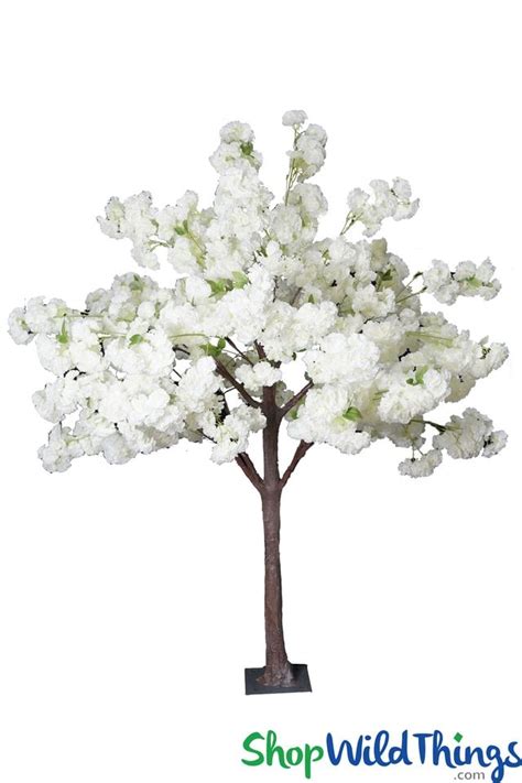 Listed here are all the tree and shrub seeds that will grow in usda zone 4. Flowering Tree, Artificial Dogwood 4' 8" Tall - Blush Pink ...