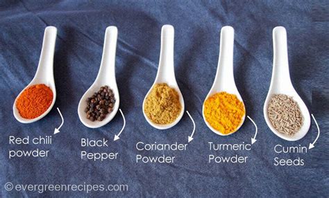 She becomes the mistress of spices and is sent to the spice bazaar in san francisco, with the mission of following three basic rules: Indian Spices Names
