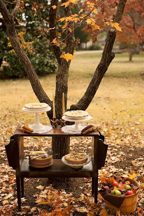 Picture Of Awesome Outdoor Fall Wedding Decor Ideas