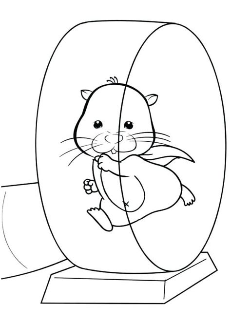Hamster Wheel Coloring Page Birthday Coloring Pages School Coloring