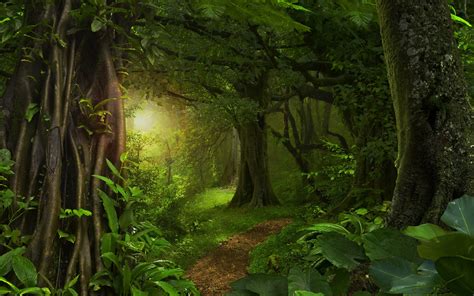 Wallpaper Forest Jungle Trees Path Green 3840x2160 Uhd 4k Picture