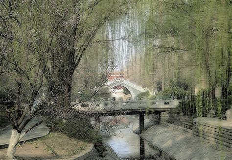yinding bridge at springtime photograph by toni abdnour