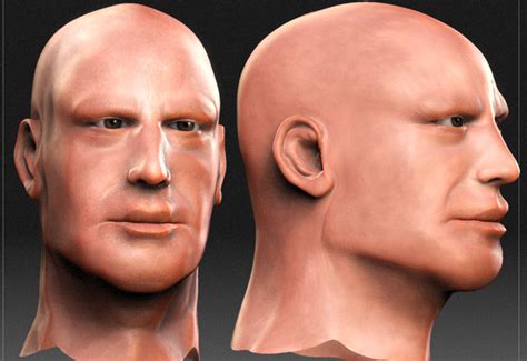 Human Head Wip Zbrushcentral