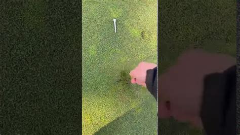 How To Properly Fix Ball Marks Youtube