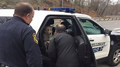 Dog That Fell Through Thin Ice Rescued And Reunited With Owner - CBS Boston