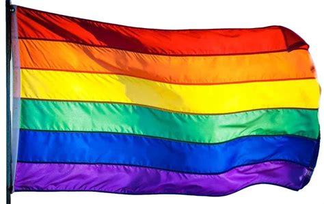 A pride flag refers to a flag that represents any segment of the lgbtq (lesbian, gay, bisexual, transgender, queer) community. Pride Flag - Swag Vibe