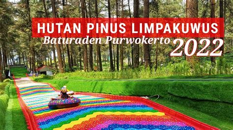 Hutan Pinus Limpakuwus Baturaden Purwokerto Review Terbaru 2022 Youtube