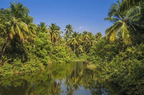 10 Best Kerala Tours And Trips 20222023 Tourradar