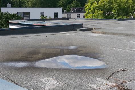 What To Do About Water Ponding On A Flat Roof