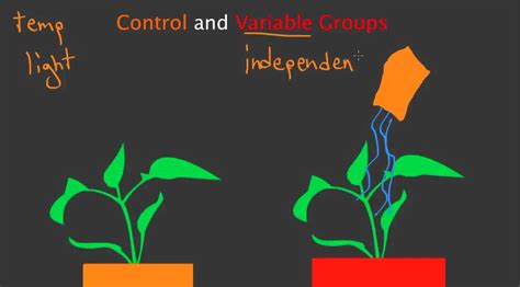 The name is a sequence of characters. Control and Variable Groups - YouTube