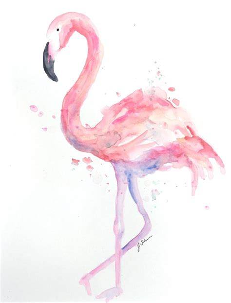 The Best Free Flamingo Watercolor Images Download From