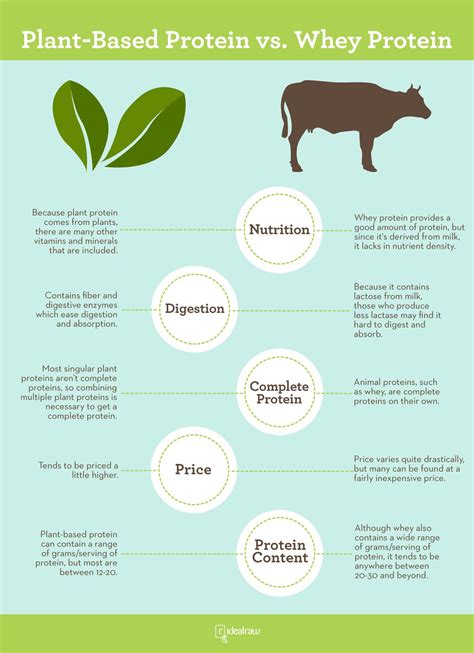 Plant Protein Vs Whey Protein Whats Better For You Infographic