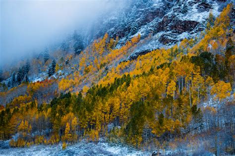 Snow Mountains Woods Forest Maroon Bells Colorado Autumn Usa Wallpaper