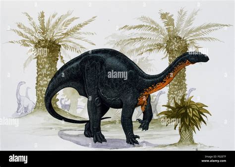 Blikanasaurus Cromptoni Blikanasauridae Late Triassic Illustration