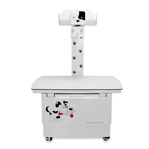 Floor Mounted Veterinary X Ray Machine Mslvx40 Medsinglong