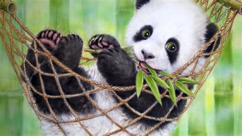 Baby Panda Wallpapers 75 Background Pictures