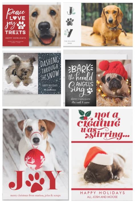 Meow vs woof, and other things we learned from america's holiday cards. Best Pet Holiday Cards | Dog Lover Christmas Photo Cards | GreatGets.com