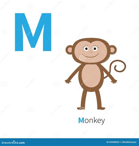 Alfabeto De La Letra M Monkey Zoo Abc Inglés Con Las Tarjetas De La