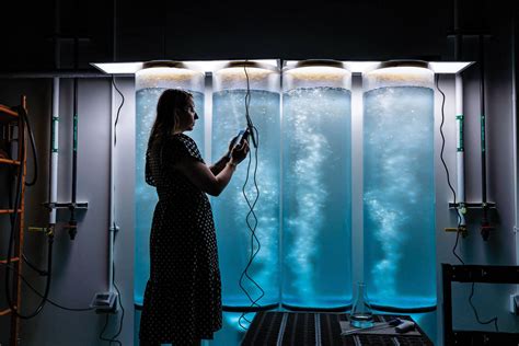 Indoor Oceans For Sciences Sake Hub