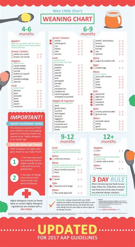 Given that your little one will still be getting the majority of their nutrition from breast milk or formula, mealtime should be more about learning about and exploring food than caloric intake. Your Baby's Feeding Routine Guide (Time Table): Six to ...