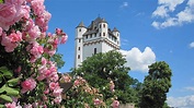 Kurfürstliche Burg Eltville - Rheingau