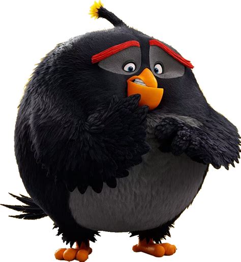 Image Abmovie Bomb Scaredpng Angry Birds Wiki Fandom Powered By