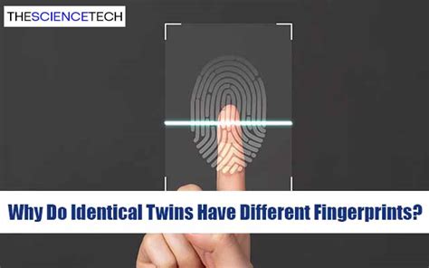 Why Do Identical Twins Have Different Fingerprints The Science Tech