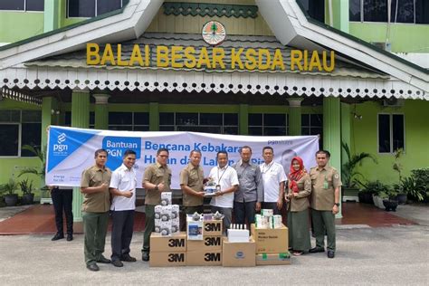 Peduli Bencana Karhutla Pgn Salurkan Bantuan Ke 3 Lokasi Di Riau
