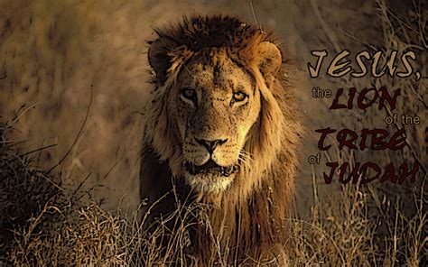 Lion Of Judah Wallpaper ·① Wallpapertag