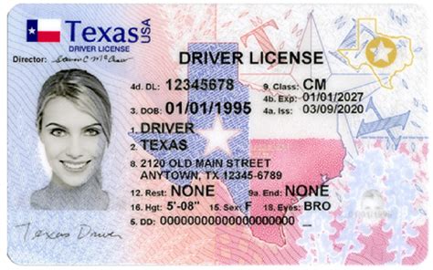 Presentan Proyecto De Ley Para Dar Licencias De Conducir A